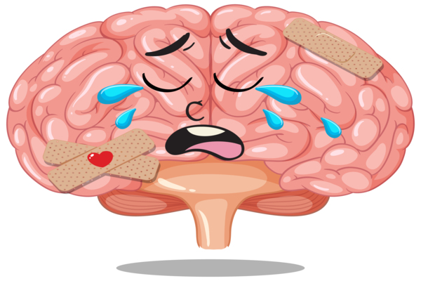 Imagen decaorativa noticia 2026 - 09: Tu Cerebro También Se Cansa